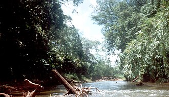 Reserva de la biosfera de Río Plátano (Honduras)