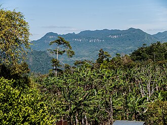 Reserva de la Biosfera Bosawás (Nicaragua)