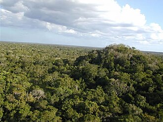 Reserva de la biosfera maya (Guatemala)