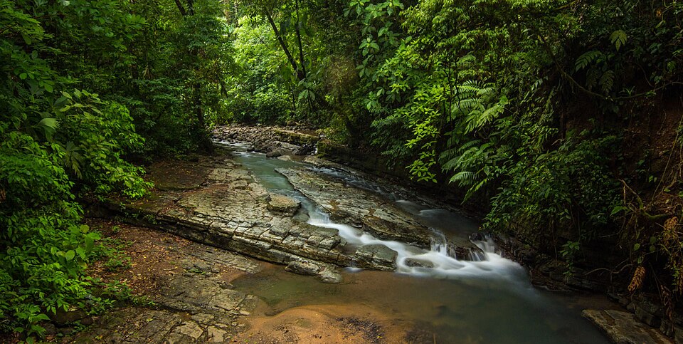 Parque nacional La Cangreja (Costa Rica)