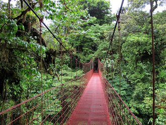 Reserva biológica Bosque Nuboso Monteverde (Costa Rica)