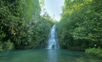 Reserva natural de Cockscomb (Belice)