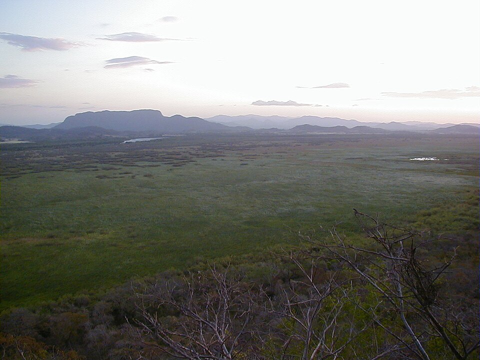 Parque nacional Palo Verde (Costa Rica)