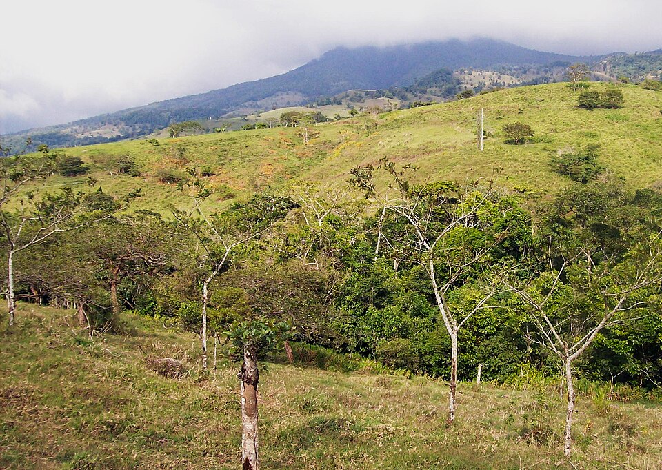 Platanar (Costa Rica)