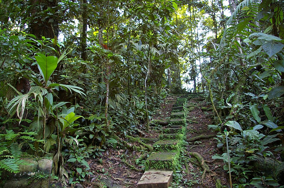 Estación Biológica La Selva (Costa Rica)