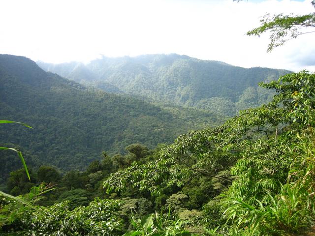 Parque nacional Braulio Carrillo (Costa Rica)