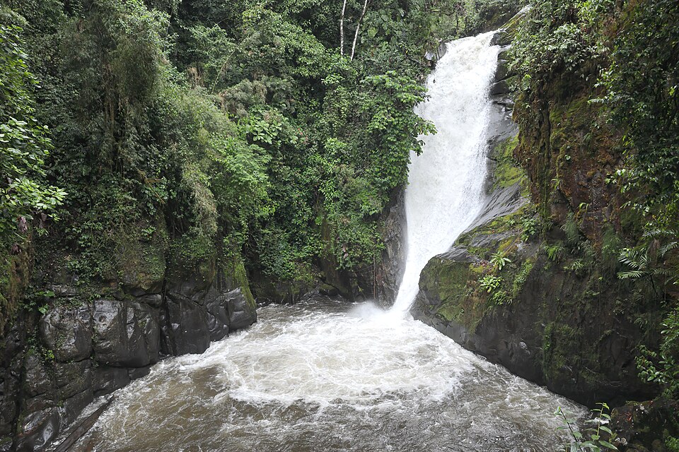 Reserva Cloudbridge (Costa Rica)