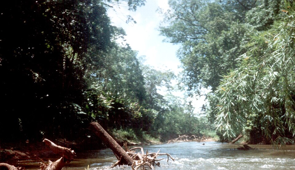 Reserva de la biosfera de Río Plátano (Honduras)