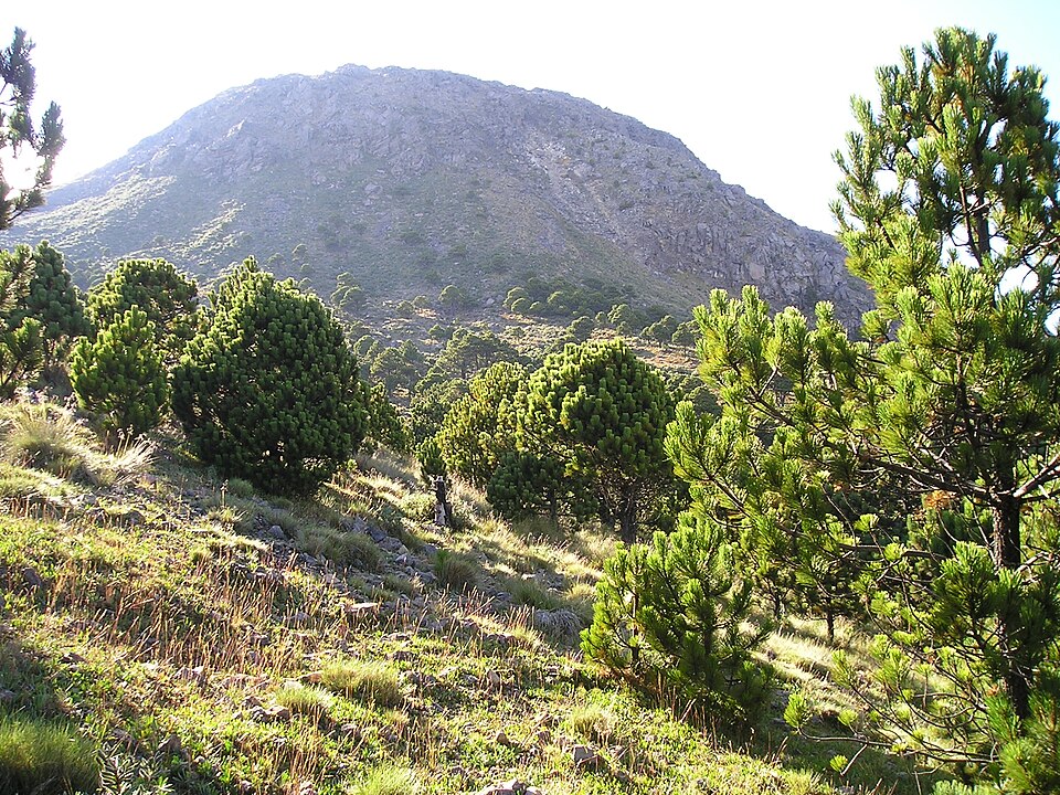 Volcán Tajumulco (Guatemala)