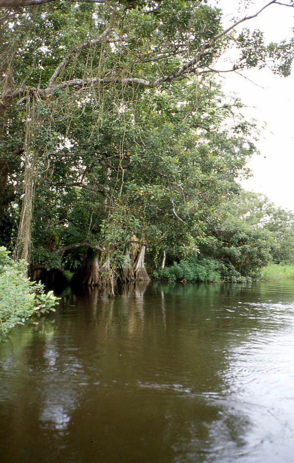 Refugio de Vida Silvestre Los Guatuzos (Nicaragua)