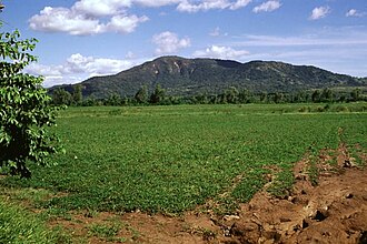 Cerro Rota (Nicaragua)
