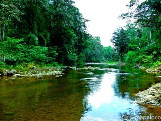 Reserva Natural Bosawás (Nicaragua)