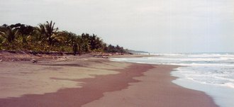 Parque Nacional Tortuguero (Costa Rica)