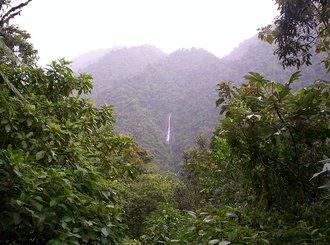 Parque nacional Tapantí (Costa Rica)