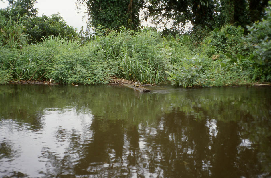 Reserva de la Biosfera Río San Juan (Nicaragua)