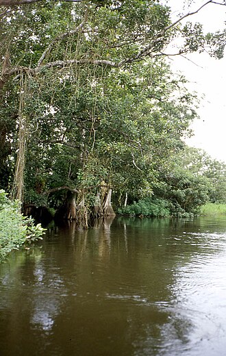 Refugio de Vida Silvestre Los Guatuzos (Nicaragua)