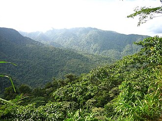 Parque nacional Braulio Carrillo (Costa Rica)