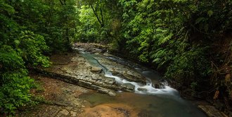 Parque nacional La Cangreja (Costa Rica)