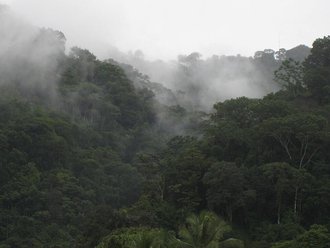 Parque nacional Piedras Blancas (Costa Rica)