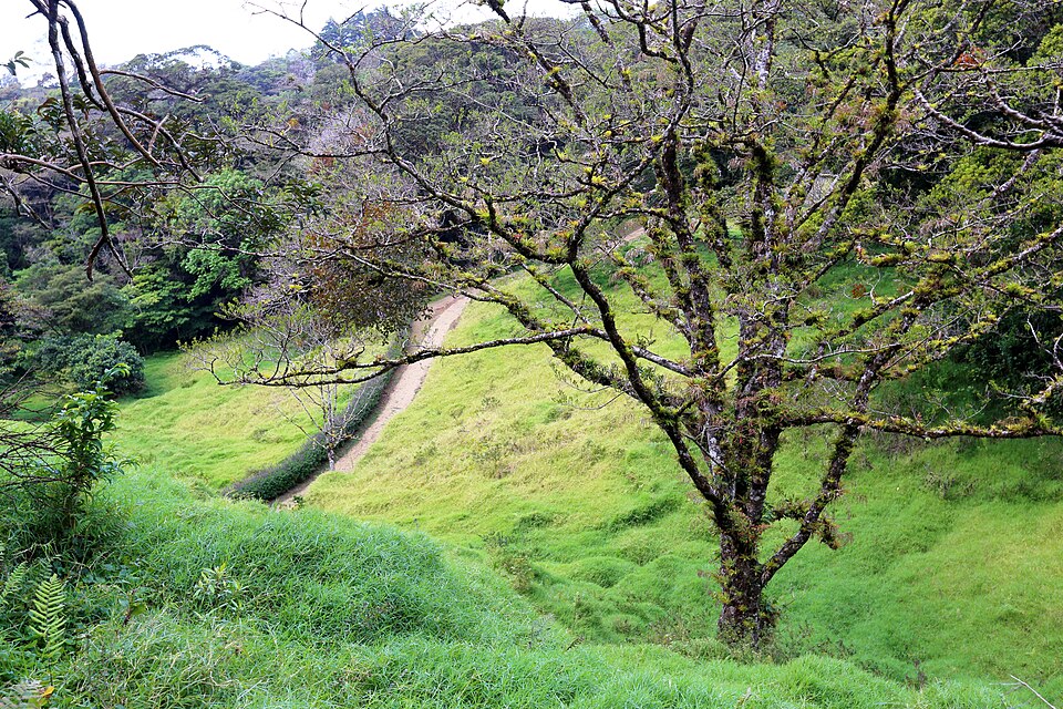 Refugio Nacional de Vida Silvestre Curi Cancha (Costa Rica)