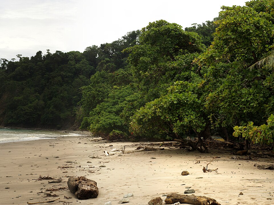 Reserva Natural Absoluta Cabo Blanco (Costa Rica)