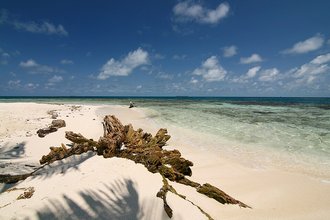 Gladden Spit and Silk Cayes Marine Reserve (Belice)