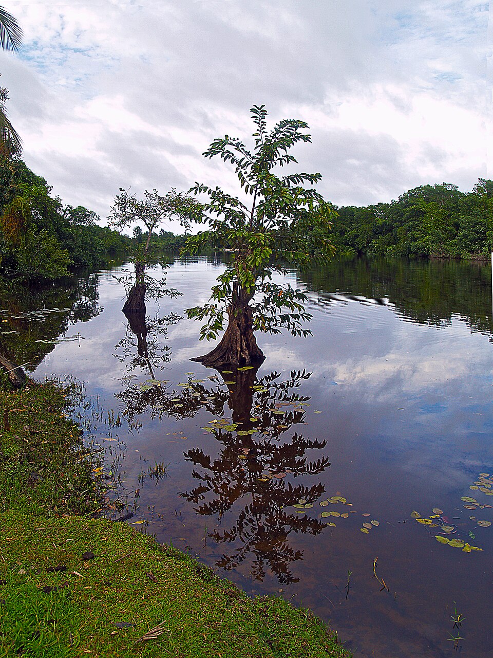 Parque nacional Punta Izopo (Honduras)