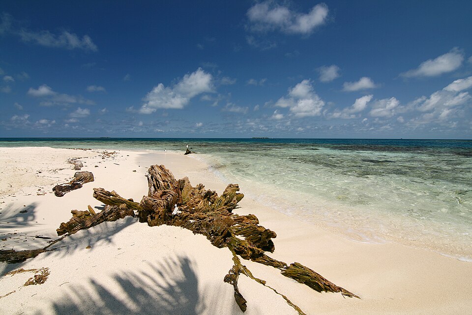 Gladden Spit and Silk Cayes Marine Reserve (Belice)