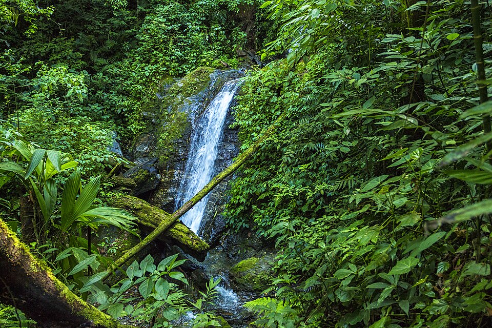 Parque nacional Montaña de Comayagua (Honduras)