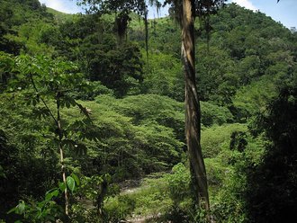 Parque nacional de la Sierra de Agalta (Honduras)