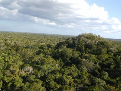 Reserva de la biosfera maya (Guatemala)