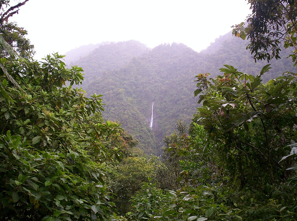 Parque nacional Tapantí (Costa Rica)