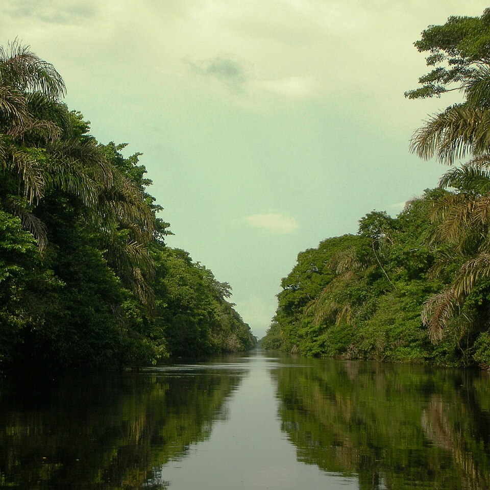 Refugio nacional de fauna silvestre Barra del Colorado (Costa Rica)
