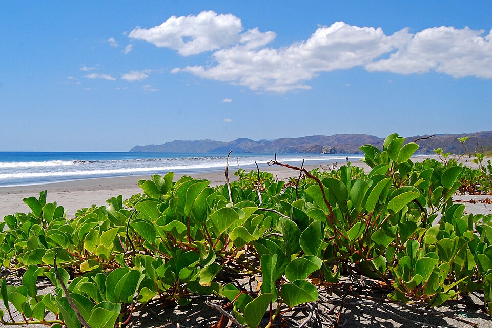 Parque nacional Santa Rosa (Costa Rica)